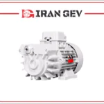 پمپ وکیوم خشک روتاری وین GEV GS10-gs6_gs3
